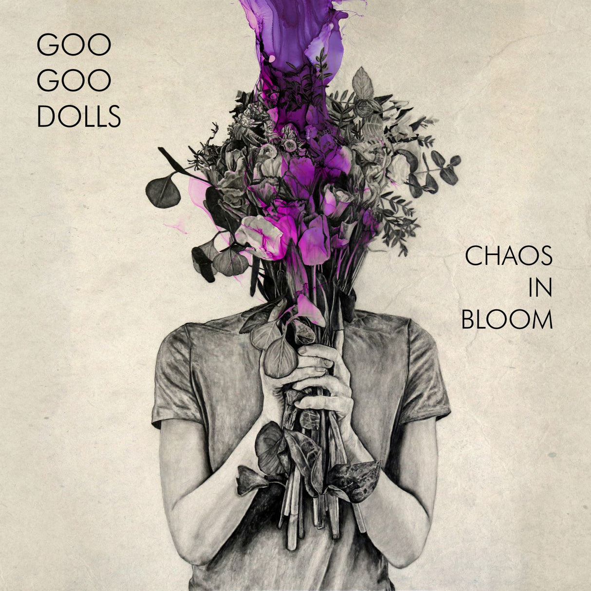 Goo Goo Dolls Chaos In Bloom [Records & LPs]