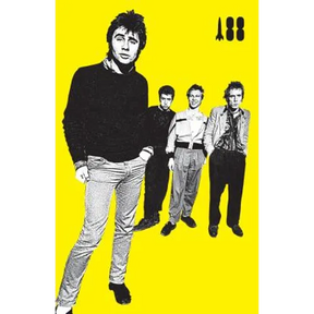 I Was a Teenage Sex Pistol
