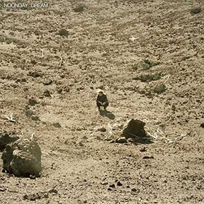 HOWARD,BEN NOONDAY DREAM [Vinyl] - Apocalypse Vinyl