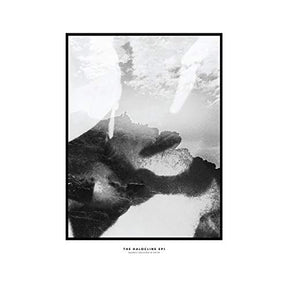 Hippo Campus The Halocline Eps [Vinyl] - Apocalypse Vinyl