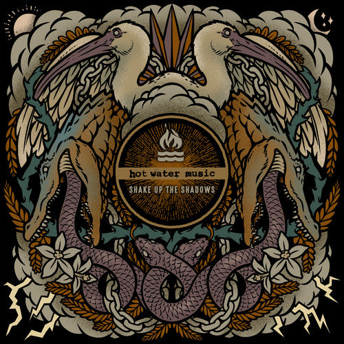 Shake Up The Shadows (Vinyl)