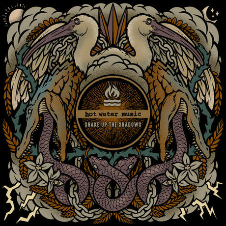 Shake Up The Shadows (Vinyl)