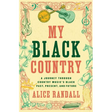 My Black Country: A Journey Through Country Music's Black Past, Present, and Future