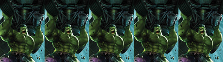 IMMORTAL HULK #17 B HEYJIN IM BATTLE LINES Variant (05/15/2019) MARVEL