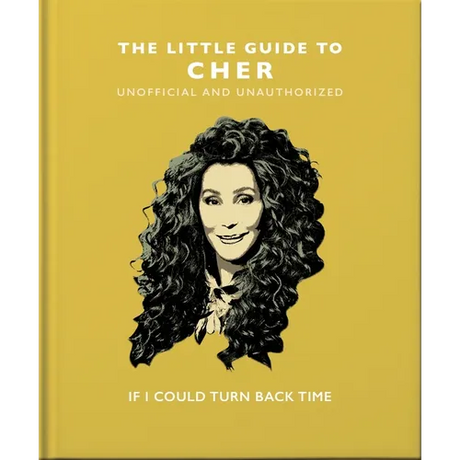 The Little Guide to Cher: If I Could Turn Back Time