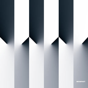 Sascha Funke - Planes In Reverse [Vinyl]