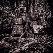 Harmony of Difference [EP] * (Vinyl) - Apocalypse Vinyl