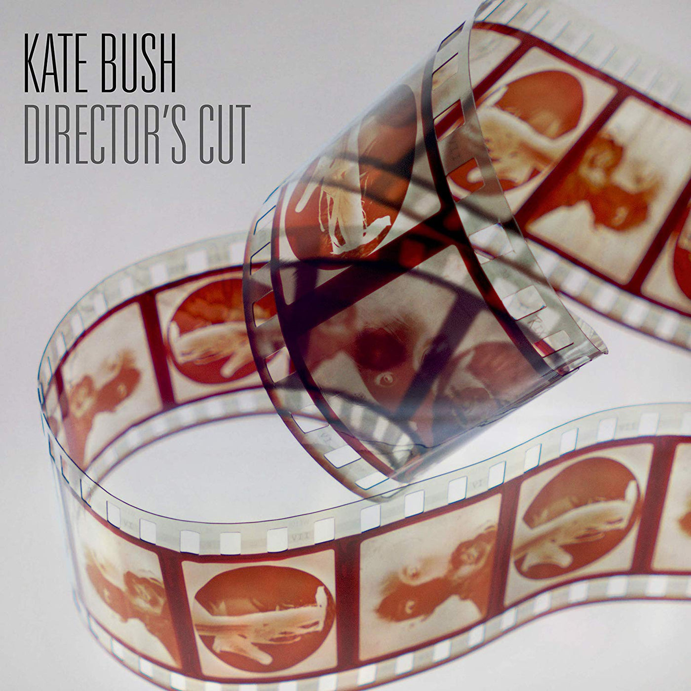 Kate Bush Director's Cut (2018 Remaster) [Vinyl]