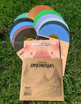 King Gizzard and the Lizard Wizard Omnium Gatherum (Lucky Rainbow Colored Vinyl, Indie Exclusive) (2 Lp's) [Vinyl] - Apocalypse Vinyl