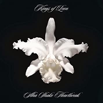 Kings of Leon Aha Shake Heartbreak(180-gram) [Import] (2 Lp's) [Vinyl]
