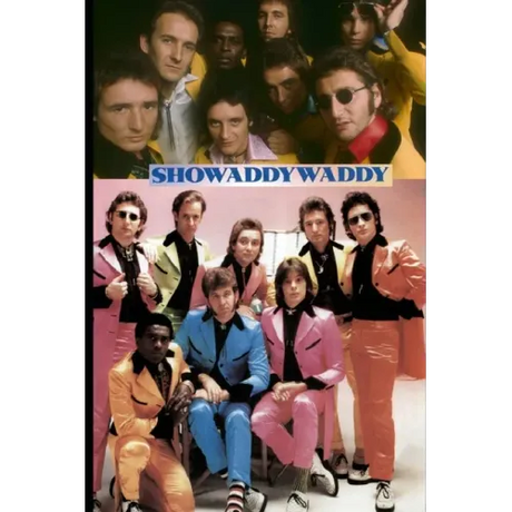 Showaddywaddy: Under the Moon of Love