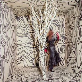 Revealer [LP] (Vinyl)