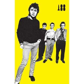 I Was a Teenage Sex Pistol