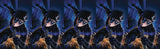 NIGHTWING #60 B Warren Louw Variant (05/15/2019) DC