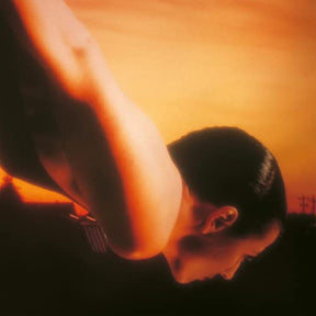 PORCUPINE TREE ON THE SUNDAY OF LIFE [Vinyl] - Apocalypse Vinyl