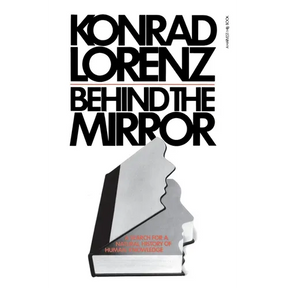 Behind the Mirror