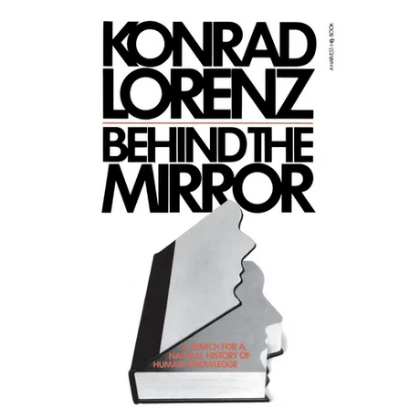 Behind the Mirror