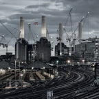 Animals (2018 Remix) (Vinyl)