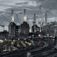 Animals (2018 Remix) (Vinyl)