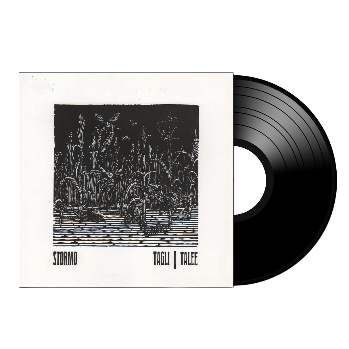 STORM(O) Tagli/Talee on Black Vinyl