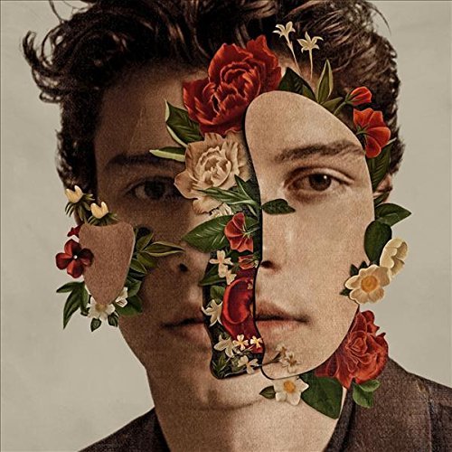 Shawn Mendes Shawn Mendes (Standa [Records & LPs]