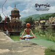 Ineffable Mysteries From Shpongleland [3 LP] (Vinyl)