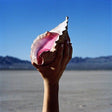 The Killers WONDERFUL WONDER(LP) [Vinyl] - Apocalypse Vinyl