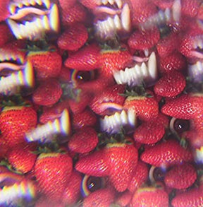 Thee Oh Sees Floating Coffin [Vinyl] - Apocalypse Vinyl