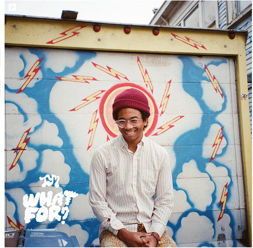 Toro y Moi What For?（数字下载卡）[唱片和 LP]