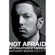Not Afraid: The Evolution of Eminem