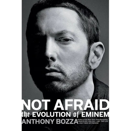 Not Afraid: The Evolution of Eminem