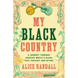 My Black Country: A Journey Through Country Music's Black Past, Present, and Future