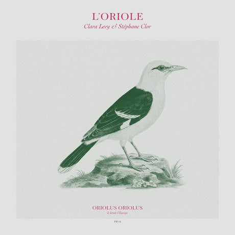 LEVY & STEPHANE CLOR, CLARA - L'Oriole [Vinyl]