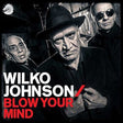 BLOW YOUR MIND (LP) (Vinyl)