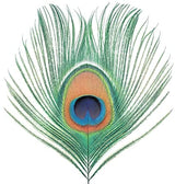 Apple Venus Vol. 1 (200 Gram Vinyl) [Import] (Vinyl)