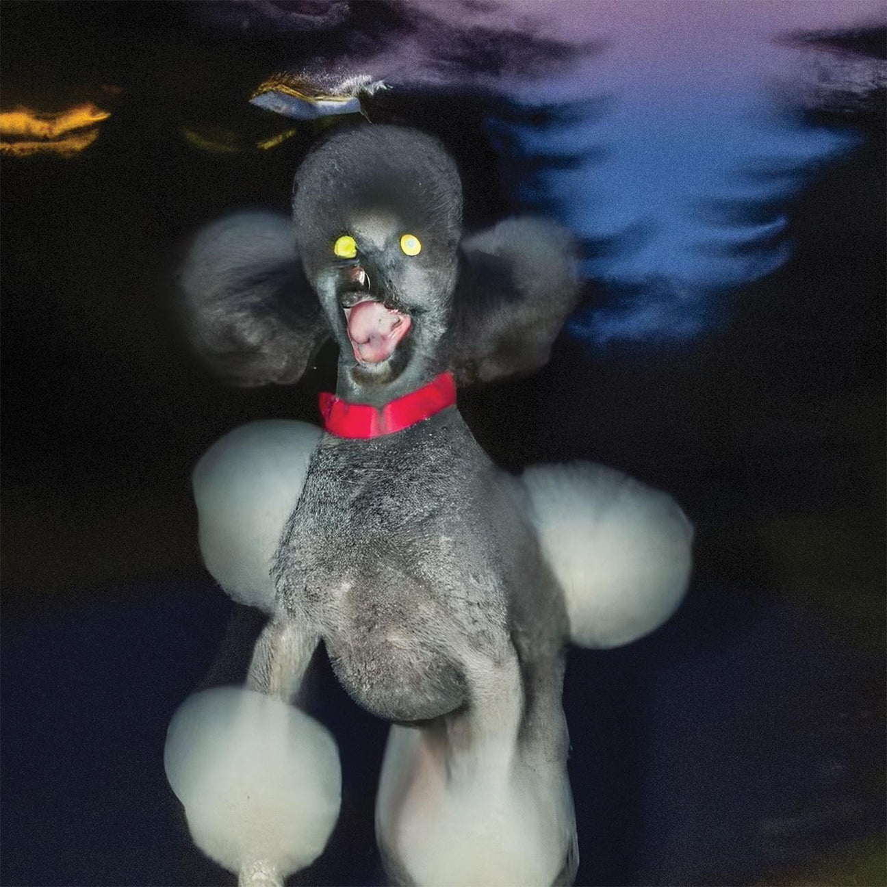A Dog A Deer A Seal [Pink] (Vinyl) - Apocalypse Vinyl