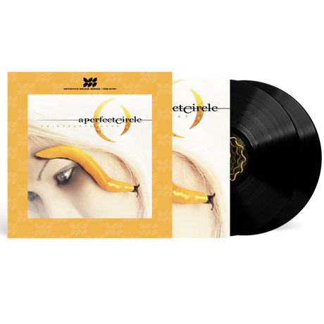 A Perfect Circle - Thirteenth Step (Definitive Sound Series) [180G] [2LP] [Vinyl]