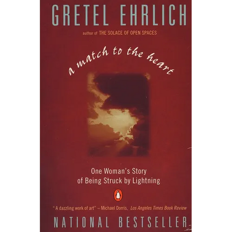 A Match to the Heart: One Woman's Story of Being Struck By Lightning
