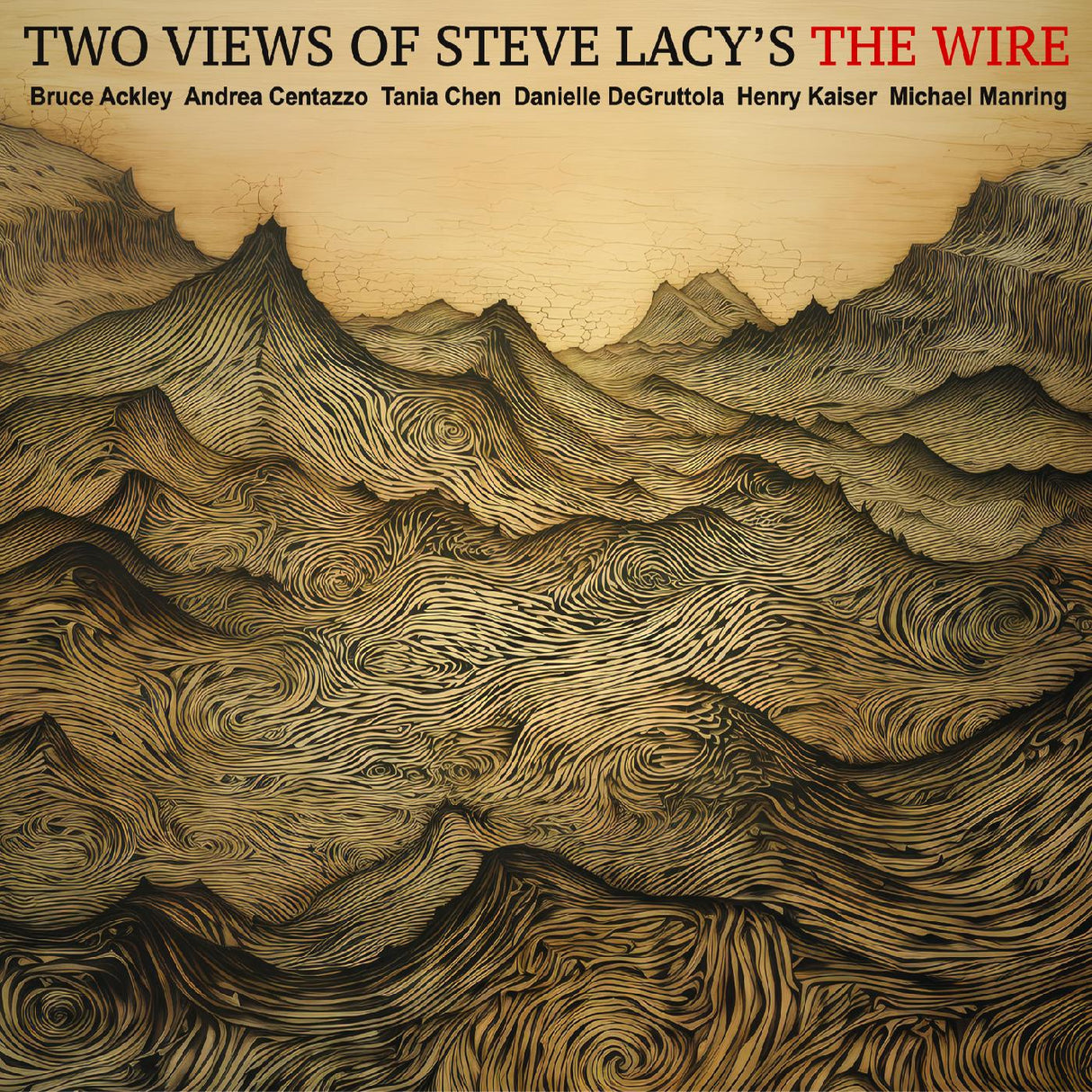 TWO VIEWS OF STEVE LACYS THE WIRE (CD)