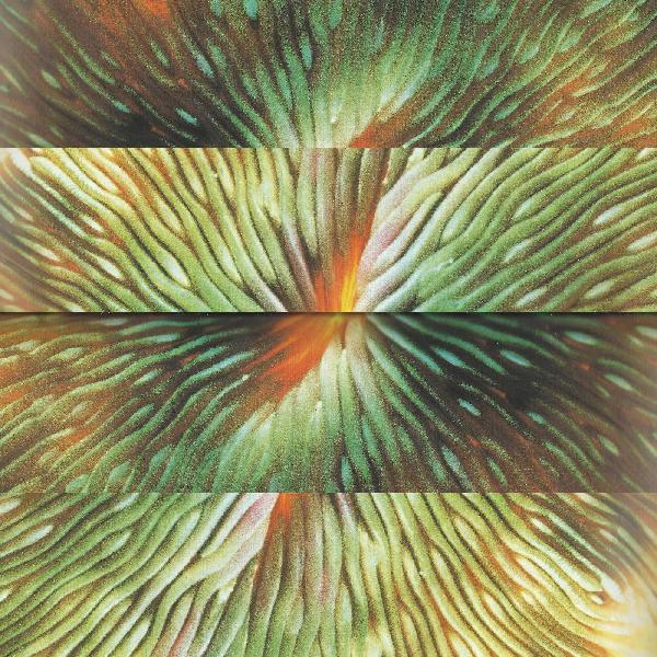 Mirroring (Vinyl) - Apocalypse Vinyl