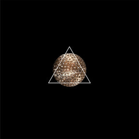 Audio Track 5 (Vinyl) - Apocalypse Vinyl
