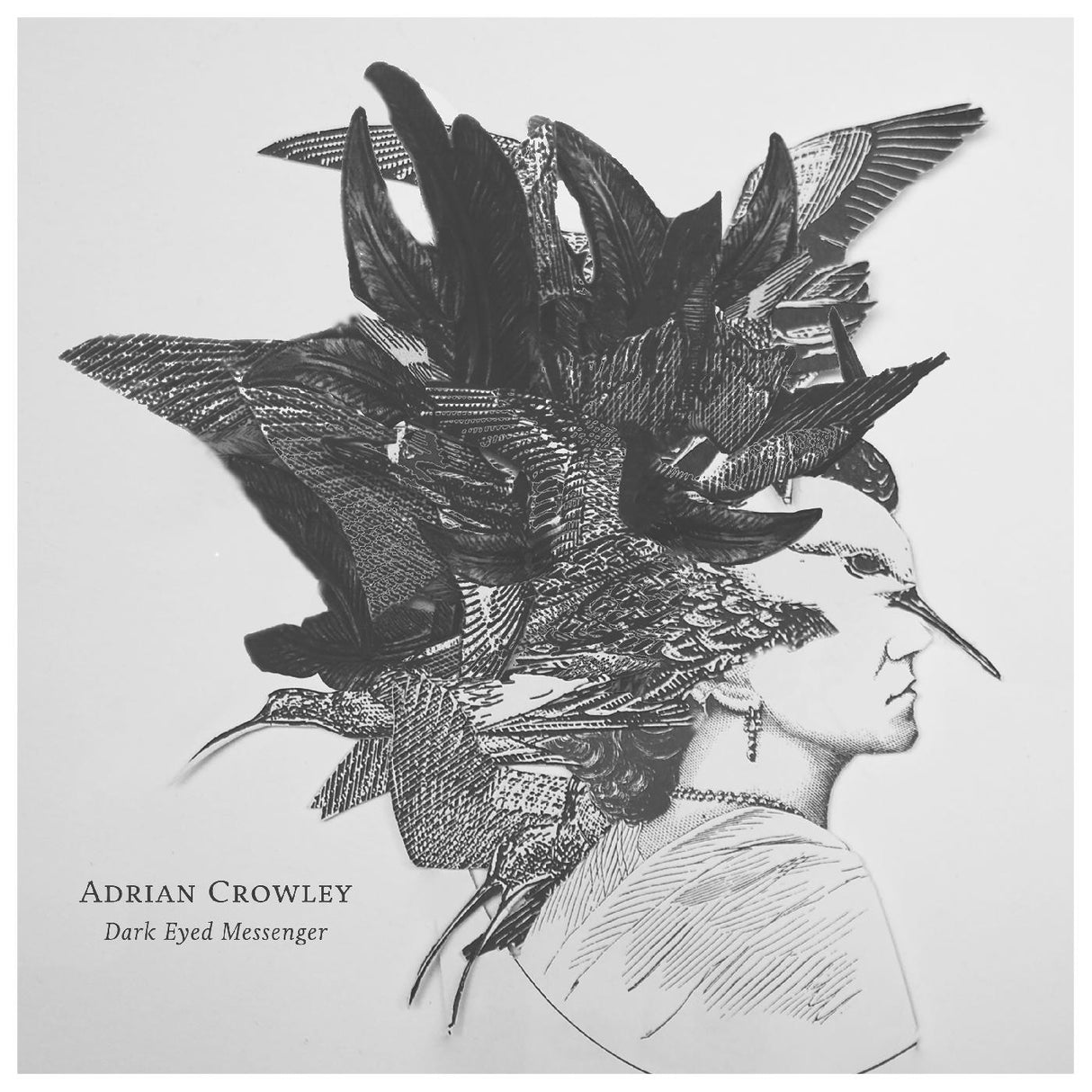 Adrian Crowley Dark Eyed Messenger [CD de música]