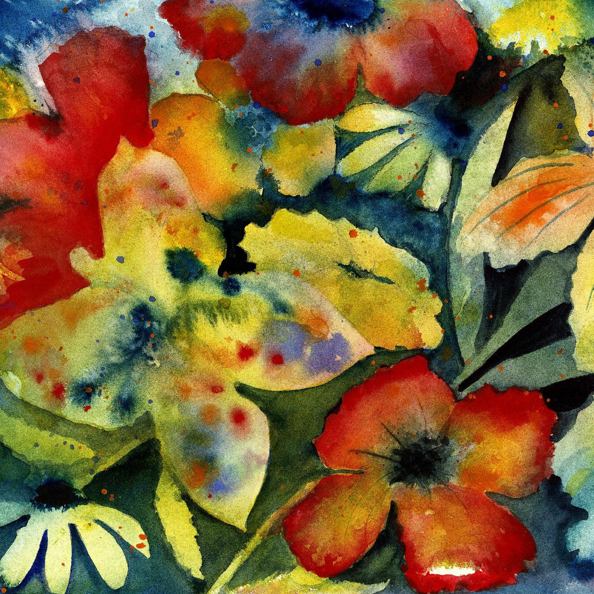 songs and instrumentals (CD)