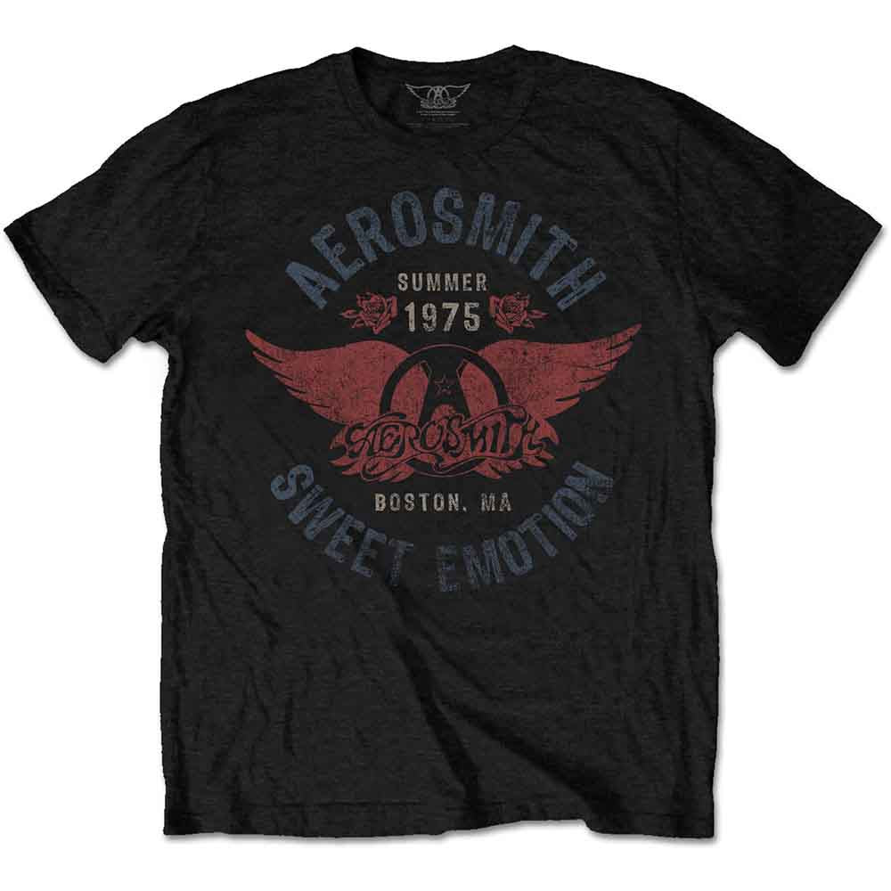 Aerosmith Sweet Emotion [T-Shirt]