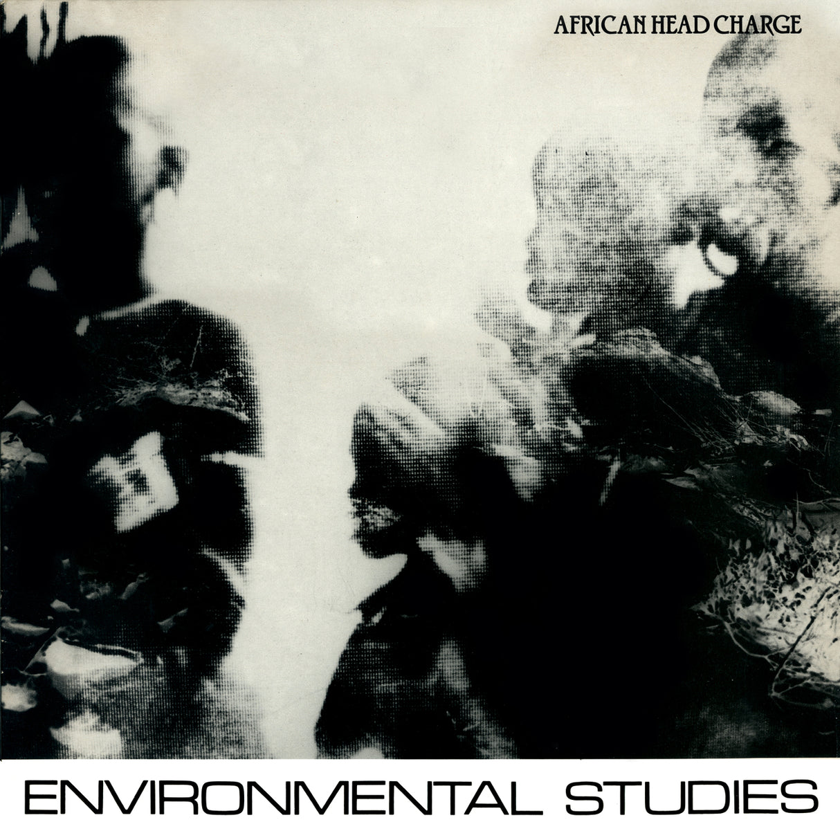 Environmental Studies (Vinyl)