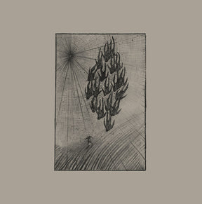 Locusts (Vinyl) - Apocalypse Vinyl