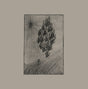 Locusts (Vinyl) - Apocalypse Vinyl