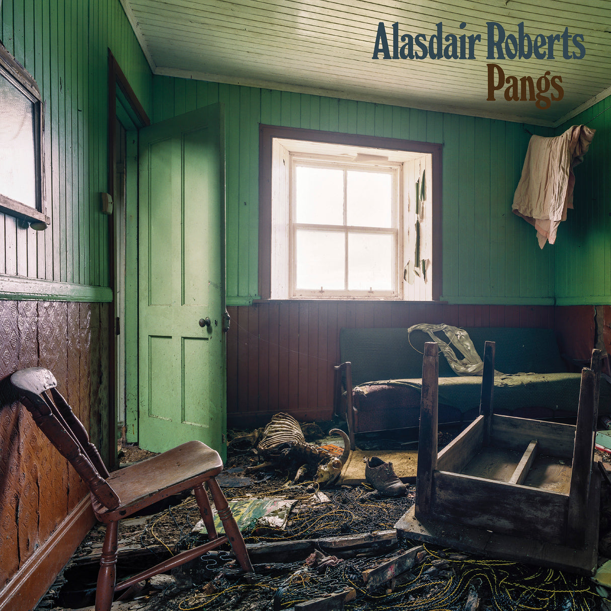 Alasdair Roberts Pangs [唱片和 LP]