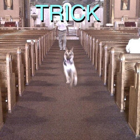 Trick (With Bonus 7") (Vinyl) - Apocalypse Vinyl