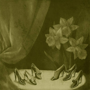 Into The Grey Salons (Vinyl) - Apocalypse Vinyl